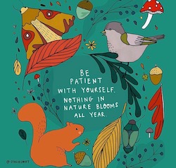 Handdrawn quote with birds, moth, and squirrel reading "Be patient with yourself nothing in nature blooms all year"