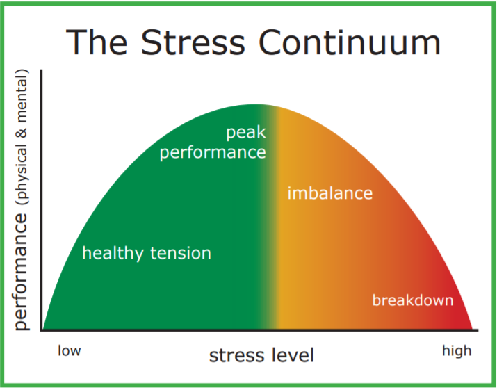 high school stress levels