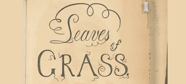 "Leaves of Grass" cover
