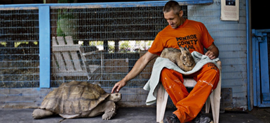 Prisoner holding a rabbit and petting a turtle.