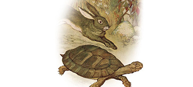An illustration of the tortoise and the hare from Aesop's Fables