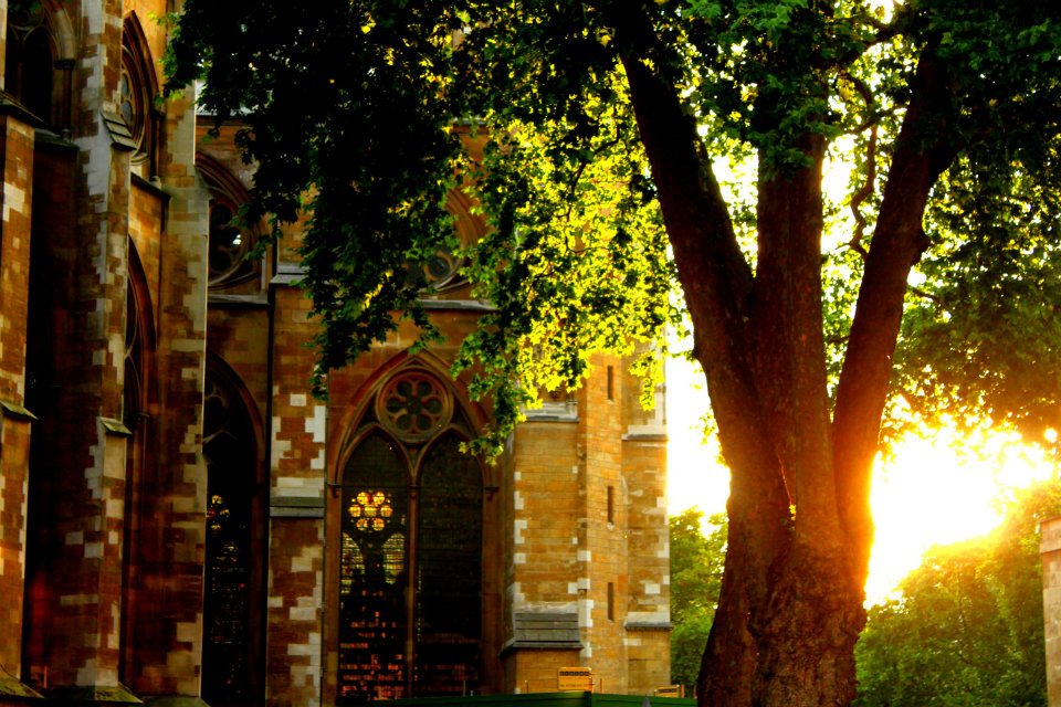 Photo of sun setting behind gothic church and tree by "Westminster" by Vi Nguyen