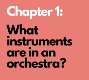 What instruments are in an orchestra?