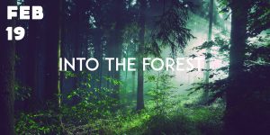 HCO—Into The Forest @ Bunting-Meyerhoff Interfaith Center