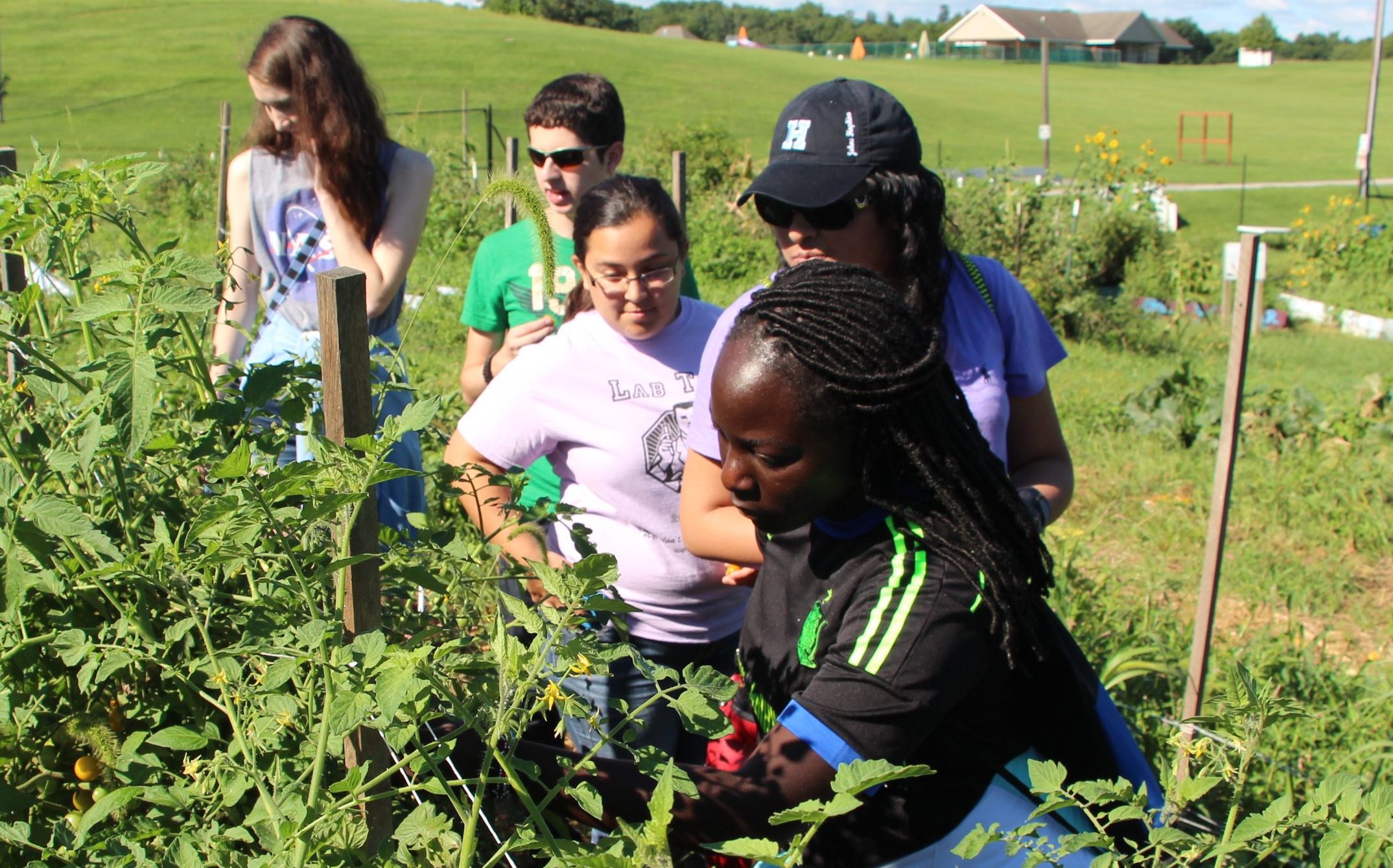 Students walking through a sunny farm