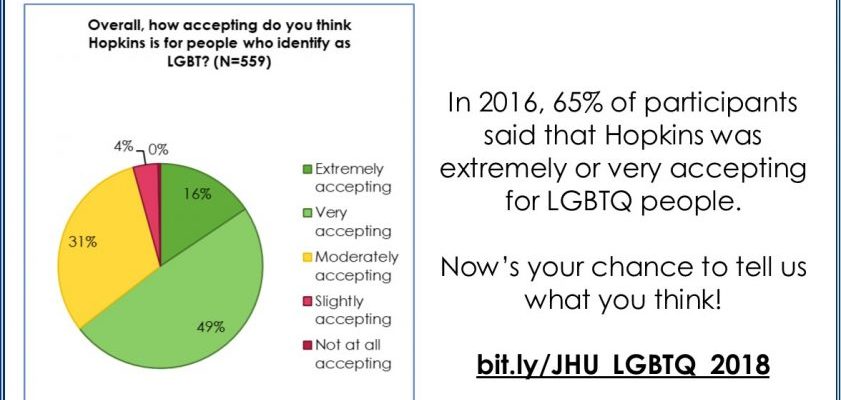 Graphic showing that 65% of students rated Hopkins as extremely or very accepting for LGBTQ people