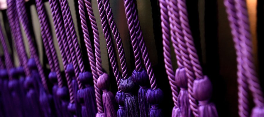 purple cords from Lavender Graduation hang vertically