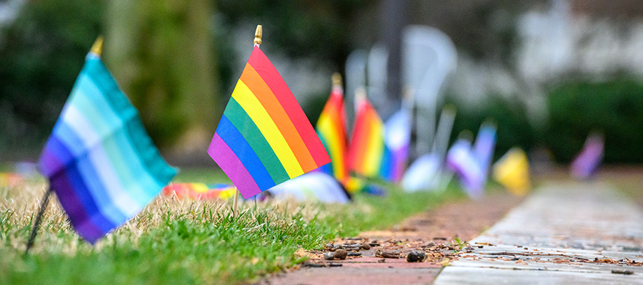 Pride flags line a walkway on Homewood campus