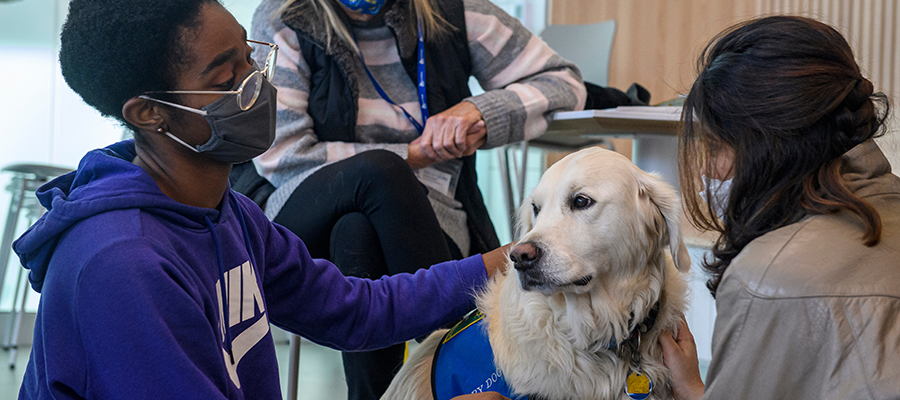 Two students wearing face masks pet a therapy dog