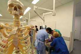 Students work closely, huddling around a hospital bed with a skeleton model stands in the foreground.