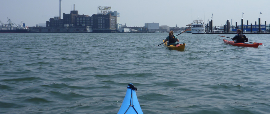 From the tip of a sea kayak, a view of the inner harbor skyline; another kayaker in the foreground.