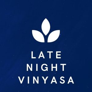 Late Night Vinyasa