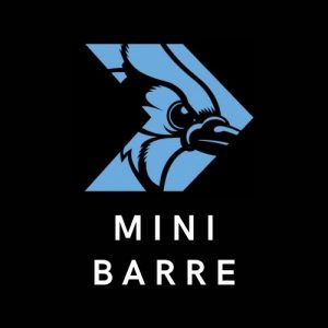 Mini Barre