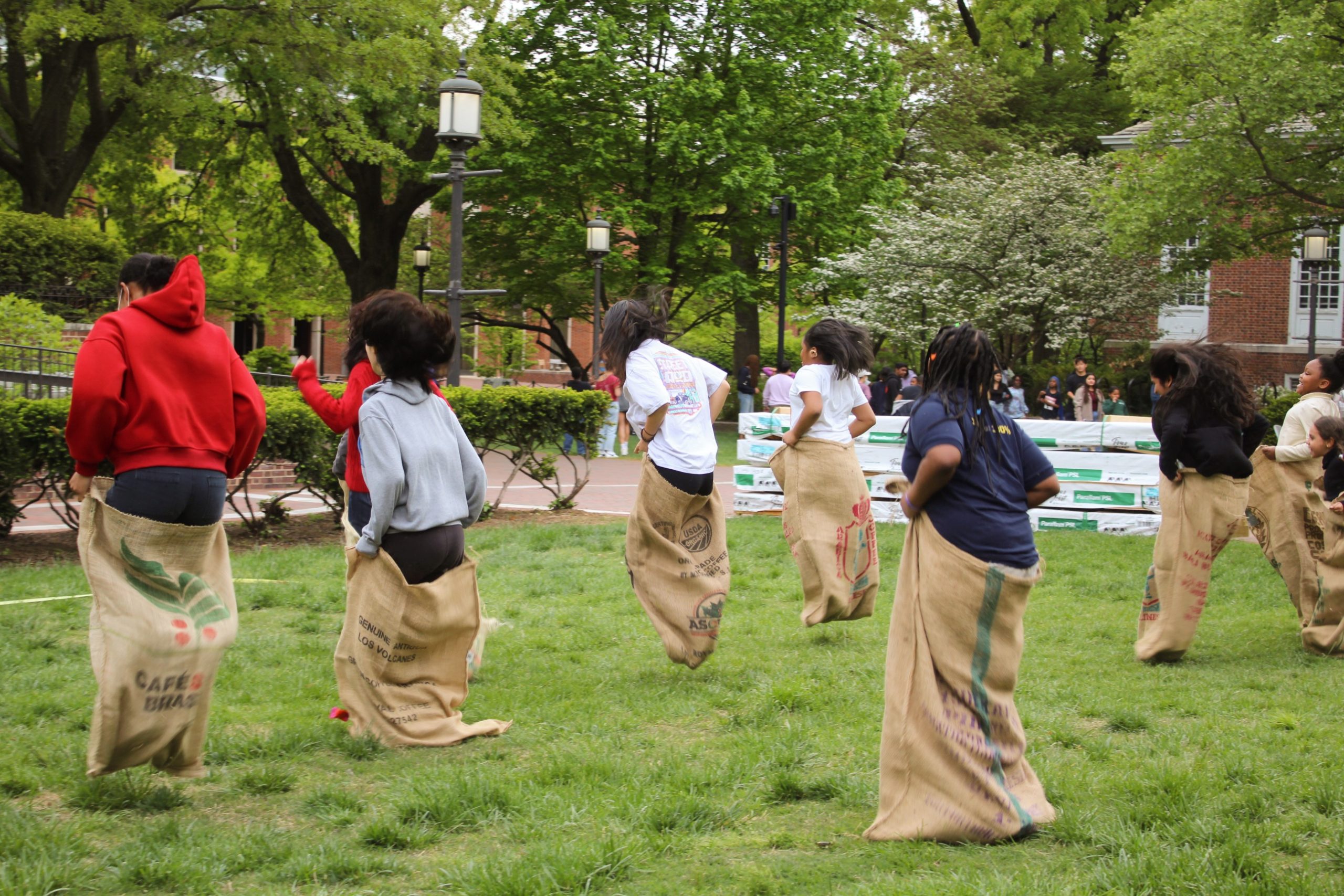 Sack race, mid jump shot at the 2023 field day
